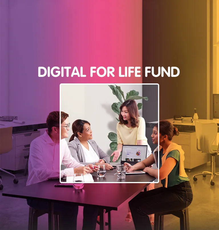 Dfl Funds