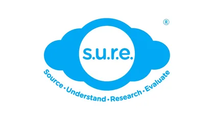 Mastering Info Literacy to Protect Your Child from Online Falsehoods