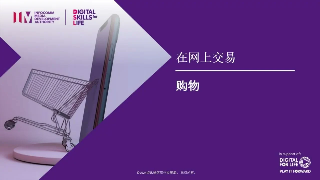 chi video Accessing Online Shopping Services